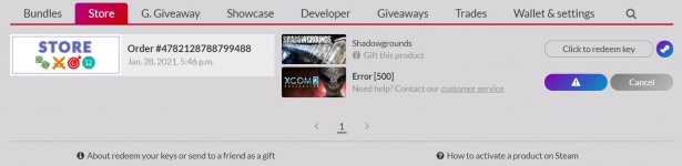error 500.jpg