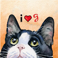 cat.png