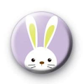 rabbit.png
