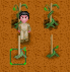 wrong target c.gif