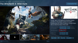witcher 3.png