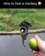 1679376433287.png