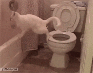 mwa lucky.gif