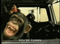 ezgif-3-27541da6bb.gif