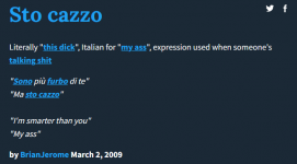 stocazzo.png
