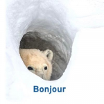 1680634229563.png