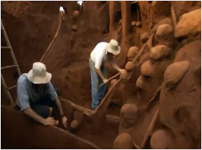 AntColony1.png