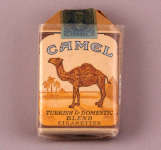 camel.png
