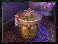 poor lizard.jpg