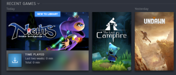 Nights Into Dreams in Steam launcher16_06_2023 10_34_15 PM.png
