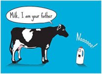 Milk.jpeg