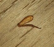 mir_20230823_162159~2.jpg