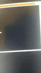 20230926_100455.gif