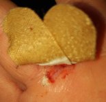 IMG_20231006_2235218~2.jpg