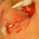 IMG_20231006_2237021~2.jpg