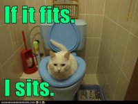 FitSit.jpg