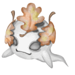 e6984dd73296032d081d25c9d7161abd4aff2ddb.png