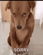 ezgif-1-4931fc3cf1.gif