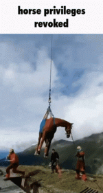 tenor.gif
