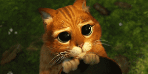 tumblr_mifjd3iIBK1s3o373o5_500.gif