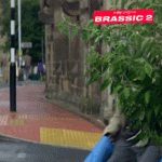 giphy-ezgif.com-resize.gif