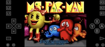 Ms. PacMan1.jpg