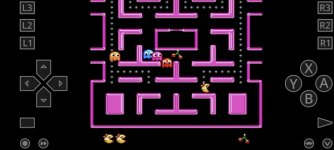 Ms. PacMan2.jpg