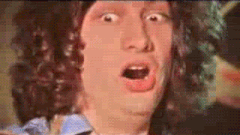 giphy (1).gif