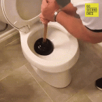 giphy (4).gif