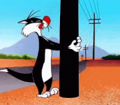 giphy1-ezgif.com-optimize.gif