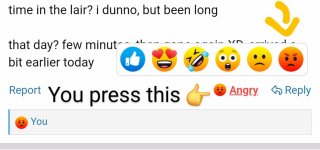 Screenshot_20240811_215951_Chrome~2.jpg