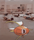 20231007_214112.gif
