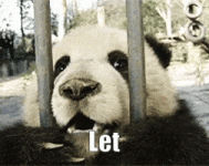 200-ezgif.com-added-text.gif