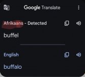 Screenshot_20240920_185915_Translate~2.jpg