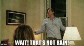 870fde7d-9be6-480f-b6ab-f3296ecead04_text.gif