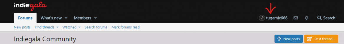 IG Forum Header.png