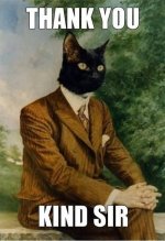 Thank-You-Cat-Meme-Joke.jpg