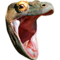 pog.png