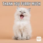 ThankYouMeme-3.jpg