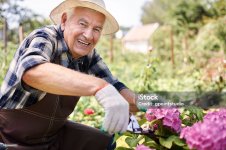 garden.jpg