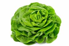 salade-laitue.jpg