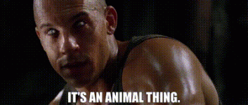 AnimalThing.gif