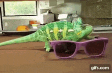 camo.gif