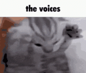 schizo-cat-the-voices.gif