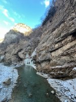 IMG_8264.jpg