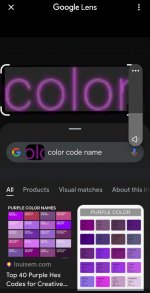 Screenshot_20250113_150740_Google~2.jpg