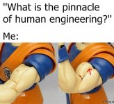 FB_IMG_17369365670976362.jpg