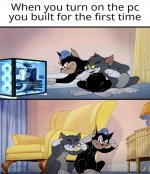 FB_IMG_17369406428448325.jpg
