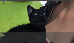 kitty.jpg