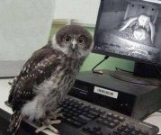 caught.jpg